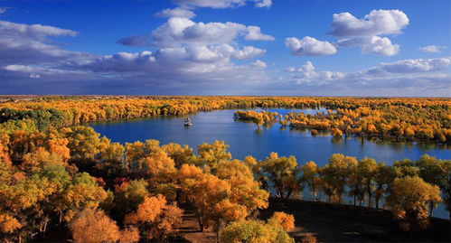 世界上面積最大 最古老 最原始的胡楊林 景色不輸額濟(jì)納