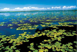 你的車除了用來(lái)上下班,還能做這件事 別錯(cuò)過(guò)機(jī)會(huì)